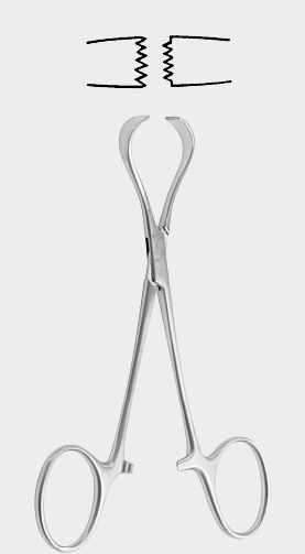 [OTD-18244-13-ss] Pinza de tejido OMBREDANNE 6x 7 dientes