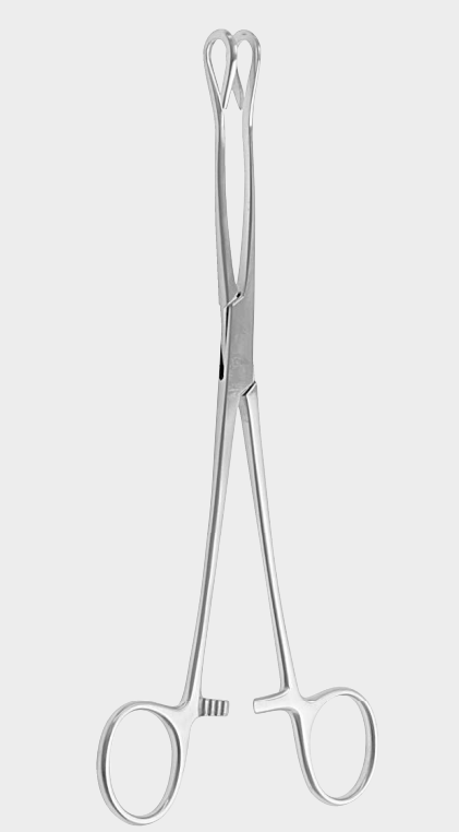 Pinzas de agarre SCHOENBURG de 22 cm