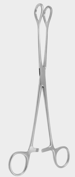 [SF]-18270-26-ss] Pinza SCHEIBE para agarre de órganos 26 cm