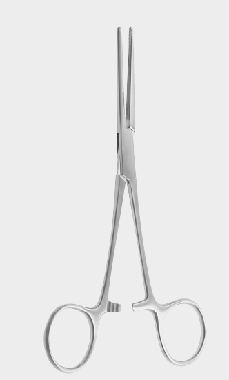 [SPR-18276-17-ss] SETON PRINGLE intest.fcps. 17cm
