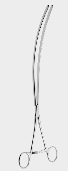 SCUDDER intest.fcps.cvd. 33 cm