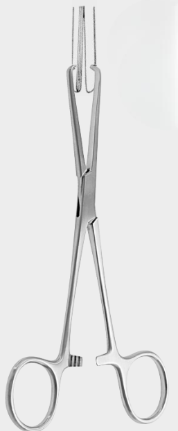 Pinza de cierre STONE 15,5 cm
