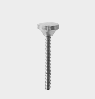 [SSN-18691-99-ss] Tornillo de repuesto para 68-1300-19