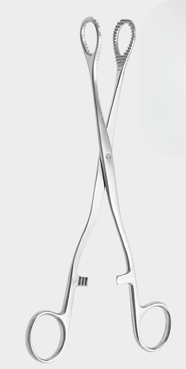 [HSS-18752-21-ss] Pinzas para pilotes HEYWOOD SMITH de 21 cm
