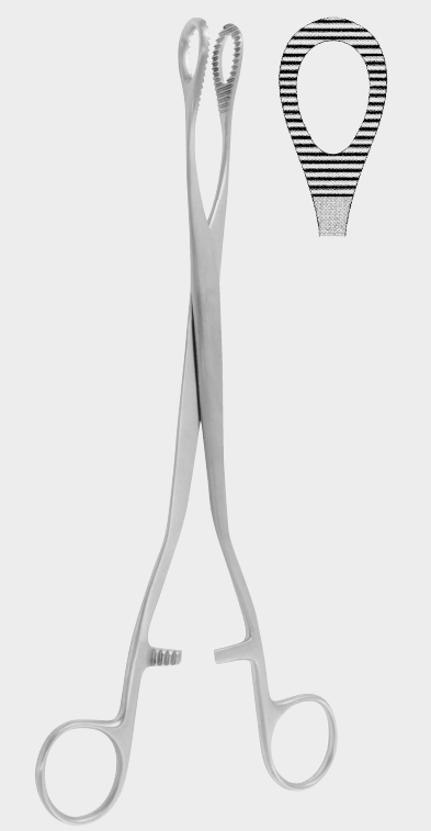 [HSS-18754-25-ss] Pinzas para pilotes HEYWOOD SMITH