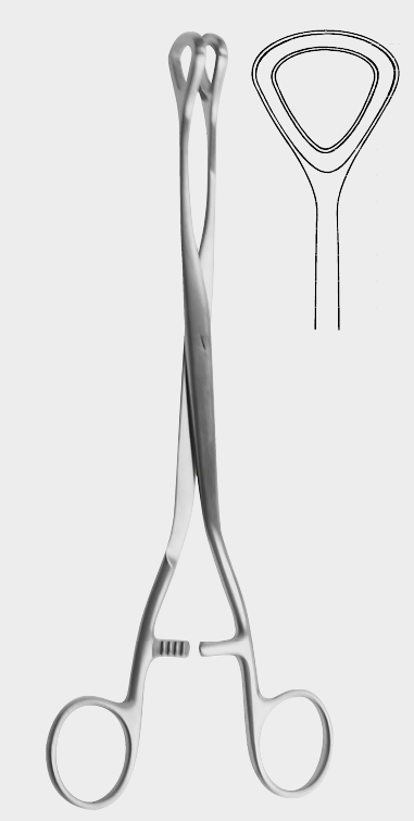 [LPI-18755-24-ss] Pinza de pila LUER 24,5 cm