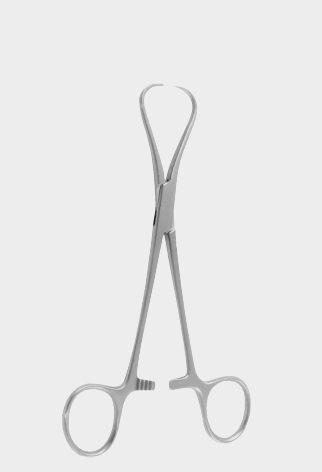 [SMN-19092-17-ss] STAUDE MOORE tenacul.forc.17cm