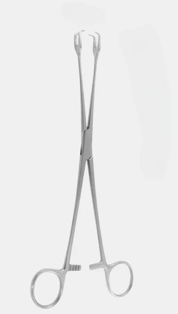 Pinzas para vulva SCHROEDER 2x2 t.