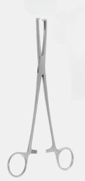 Fórceps vulvar JACOBS, 21 cm de longitud.