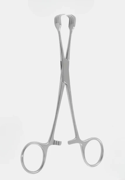 [BVU-19114-15-ss] Pinzas vulvares BRAUN 4x4t.15,5cm