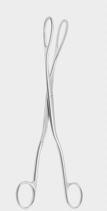Pinza GREENHALGH para óvulos de 24 cm