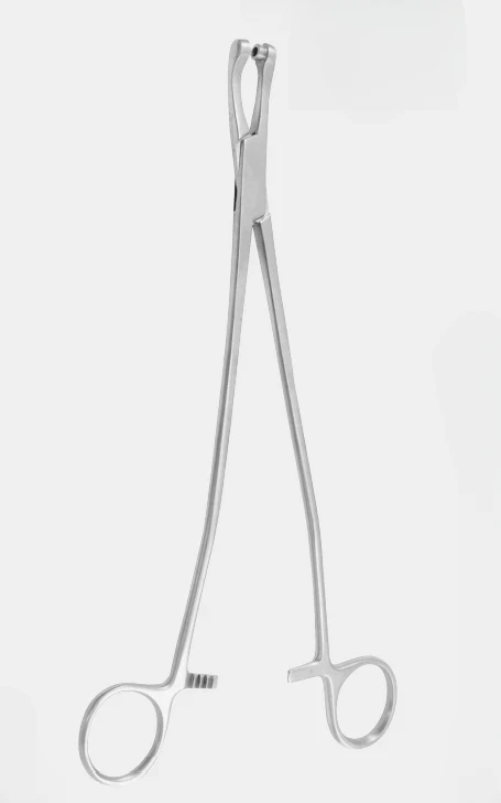 [TGB-19165-24-ss] Pinzas de biopsia THOMS GAYLOR