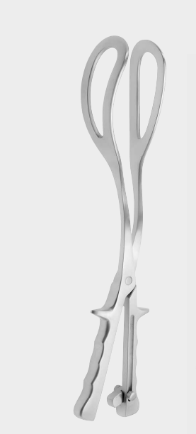 [DFR-19430-36-ss] Pinzas de parto modelo Bamberg