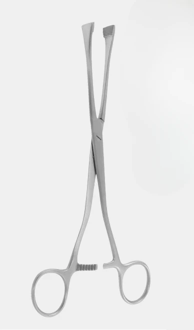 [GAC-19441-21-ss] VERDE ARMYTAGE ut.hemost.fcps.