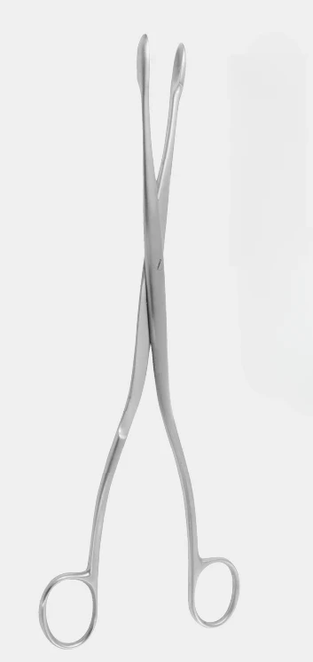 [WPJ-19454-03-ss] Fórceps de placenta y óvulos de INVIERNO