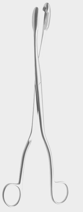 Fórceps para placenta y óvulos de 28 cm