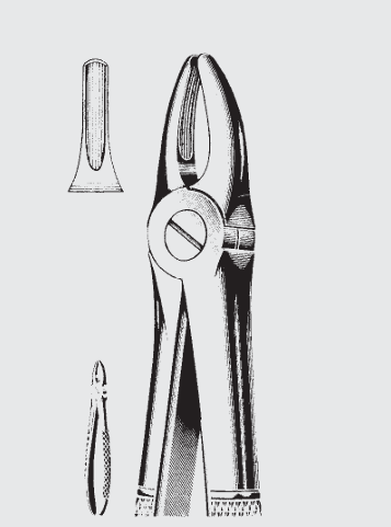 [EFY-19536-00-ss] Pinzas de extracción Engl. fig.2
