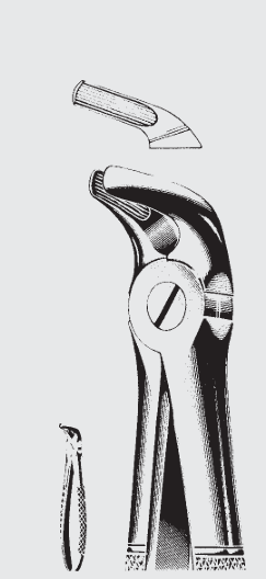 Pinzas de extracción Engl. fig.8