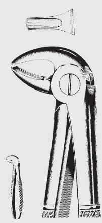 [EFY-19544-00-ss] Pinzas de extracción Engl.fig.13