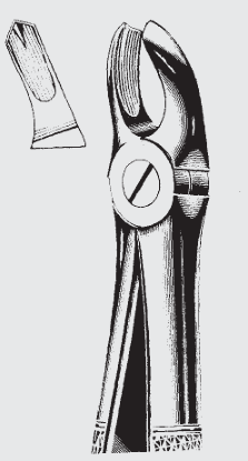 [ENO-19547-09-ss] Extr.fcps.Engl.fig.17 antideslizante