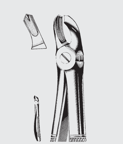 [EFZ-19549-01-ss] Extracción. pinzas Engl.fig.18 A