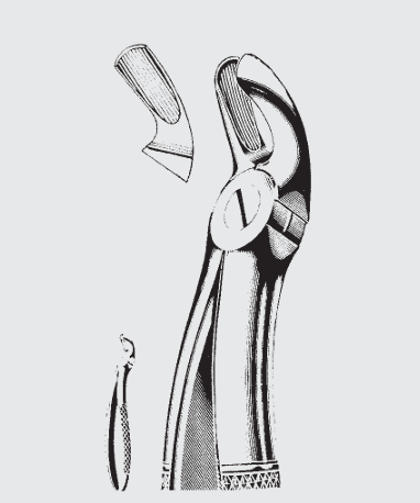 [EFY-19551-00-ss] Pinzas de extracción Engl.fig.19