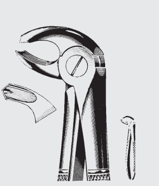 [EFY-19557-00-ss] Pinzas de extracción Engl.fig.24