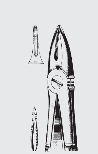 [EFZ-19559-07-ss] Extracción. pinzas Engl.fig.29 N
