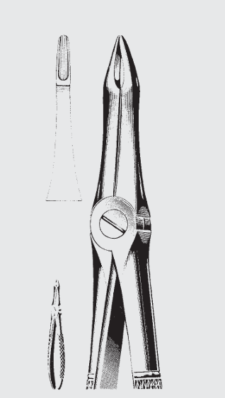 [EFY-19568-00-ss] Pinzas de extracción Engl.fig.41