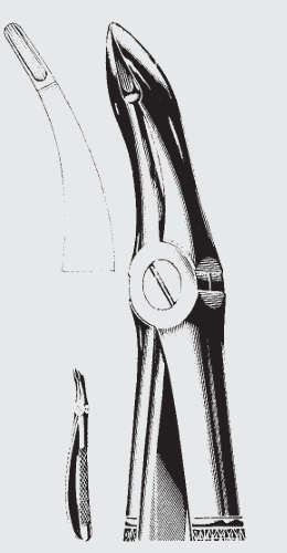[EFY-19569-00-ss] Pinzas de extracción Engl.fig.44