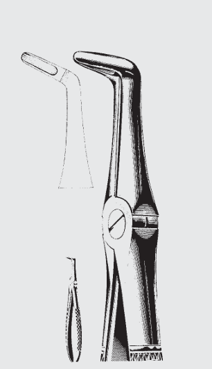 [EFY-19570-00-ss] Pinzas de extracción Engl.fig.45
