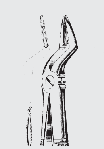 [EFZ-19573-03-ss] Extracción. pinzas Engl.fig.51 C