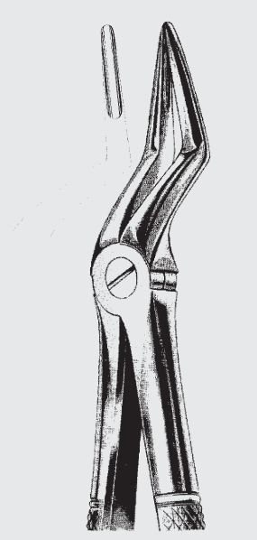 Extracto. pinzas Engl.fig.51 L