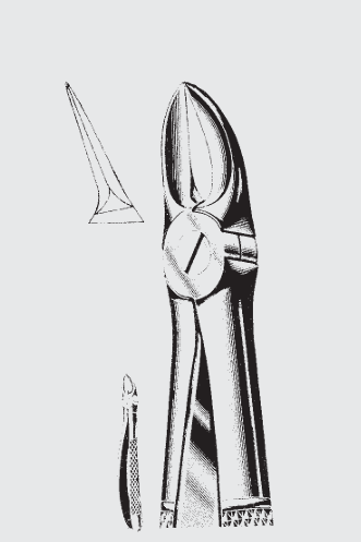 [EFY-19580-00-ss] Pinzas de extracción Engl.fig.55