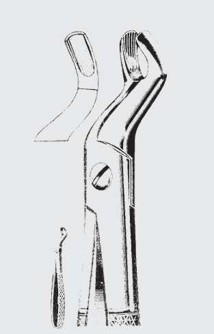 [EFY-19584-00-ss] Pinzas de extracción Engl.fig.67
