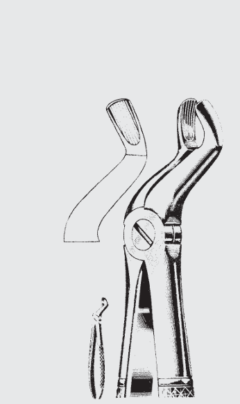 [EF[-19587-19-ss] Extr. fcps. fig. 67A antideslizante