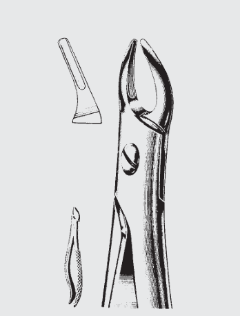 [LRS-19597-07-ss] Pinzas LAWRENCE READ fig. 76N