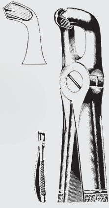 [EFY-19598-00-ss] Pinzas de extracción Engl.fig.79