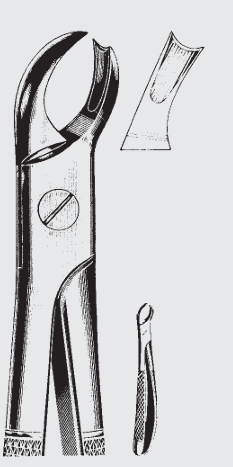 [EFY-19605-00-ss] Pinzas de extracción Engl.fig.89