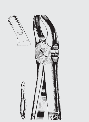 [EFY-19608-00-ss] Pinzas de extracción Engl.fig.95