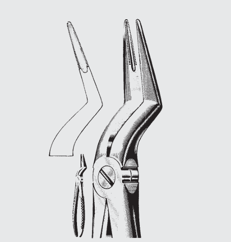 [EFY-19614-00-ss] Pinzas de extracción Engl.fg.235