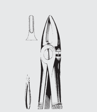 [EEN-19627-09-ss] Fórceps de extracción inglés niño 29 S