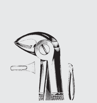 [EEN-19629-09-ss] Fórceps de extracción Engl.child 33 S