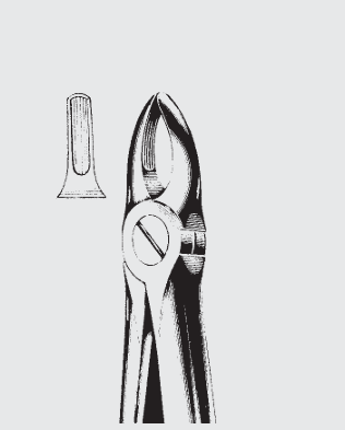 Fórceps de extracción Engl.child fig.37