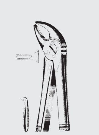 [EEN-19631-00-ss] Fórceps de extracción Engl.child fig.38