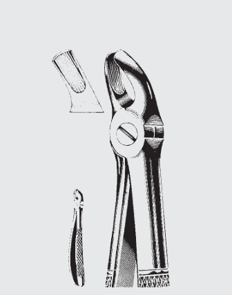 [EEN-19632-00-ss] Fórceps de extracción Engl.child fig.39