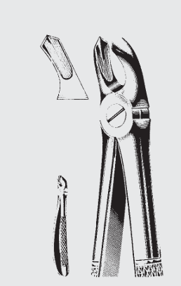 [EEN-19633-01-ss] Fórceps de extracción Engl.child 39 A