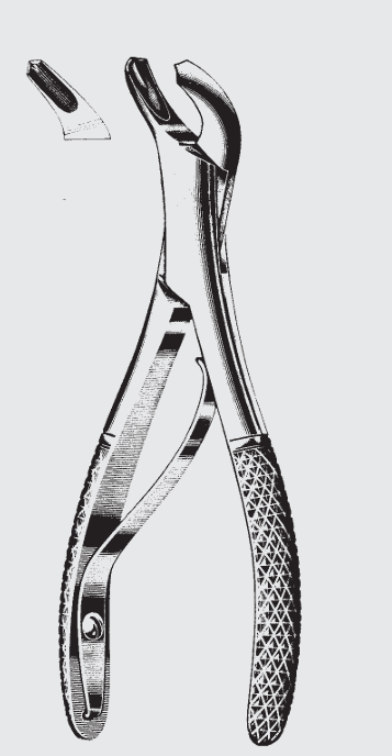 Extr.frcps.Amer.child fig.17SK