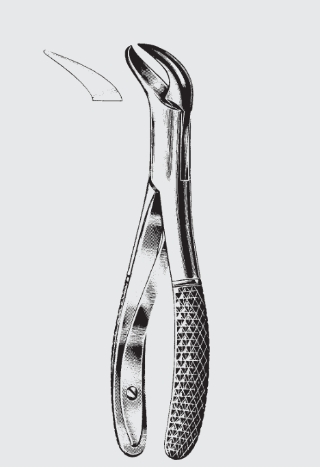 Extr.frcps.Amer.child fig.23SK