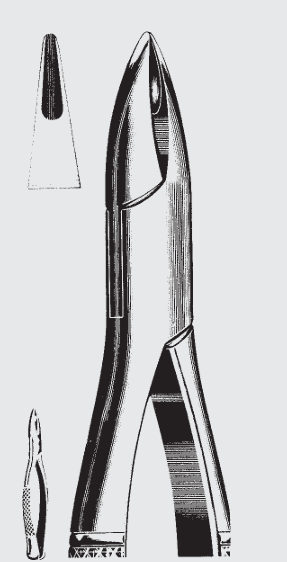 HENAHAN extr.fcps.Amer.fig. 1A
